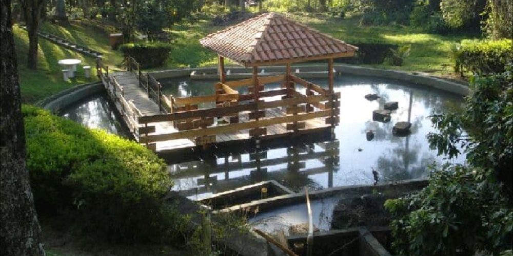 Procurando a melhor chácara para alugar por dia em Santana do Parnaíba? A Chácara Castello é o refúgio exclusivo que você busca, combinando lazer de clube com a paz da natureza, a poucos minutos de Alphaville e São Paulo. Nossa estrutura é imbatível: aproveite uma piscina refrescante integrada à área gourmet com churrasqueira completa. Para o entretenimento, temos mesa de sinuca, lago relaxante e um complexo esportivo profissional com quadra de tênis, beach tennis, campo de futebol e quadra poliesportiva. Seja para um churrasco em família, Day Use ou eventos, a Chácara Castello oferece privacidade e diversão garantida. Garanta sua reserva e viva momentos inesquecíveis no melhor espaço de lazer da região!